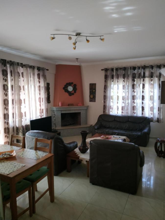 Διαμερισμα Στο Λιτοχωρο Με Εκπληκτικη Θεα Apartment Litochoro Exterior photo