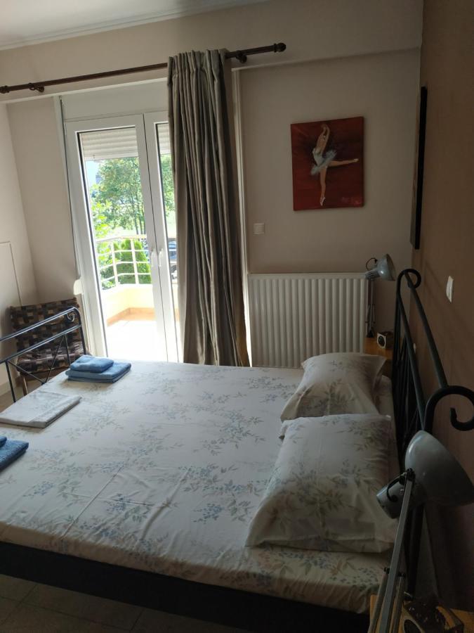 Διαμερισμα Στο Λιτοχωρο Με Εκπληκτικη Θεα Apartment Litochoro Exterior photo