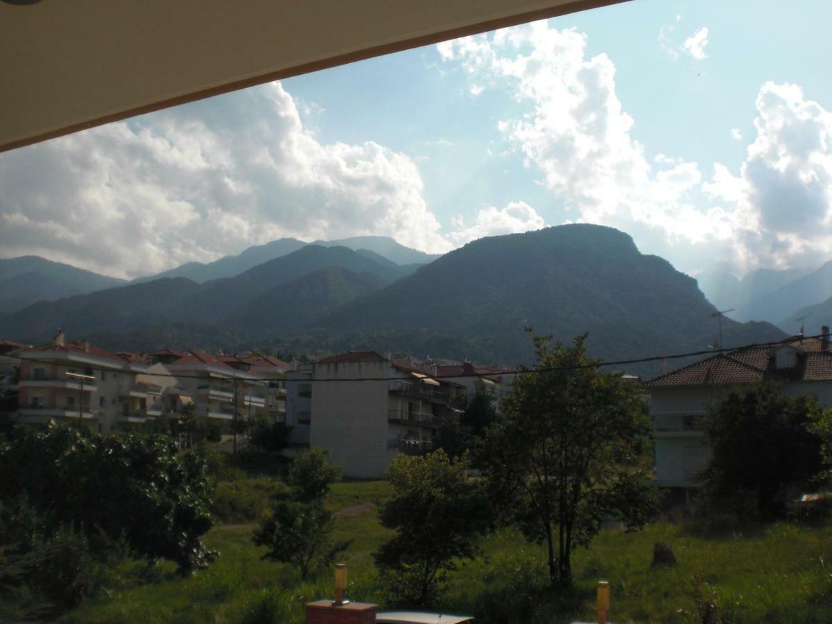 Διαμερισμα Στο Λιτοχωρο Με Εκπληκτικη Θεα Apartment Litochoro Exterior photo