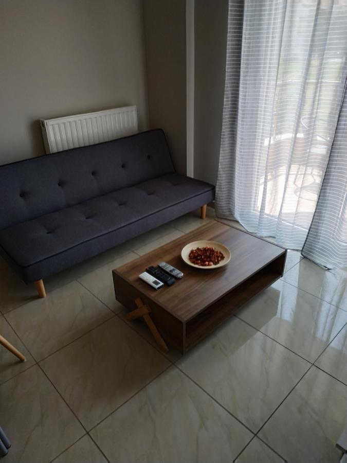 Διαμερισμα Στο Λιτοχωρο Με Εκπληκτικη Θεα Apartment Litochoro Exterior photo